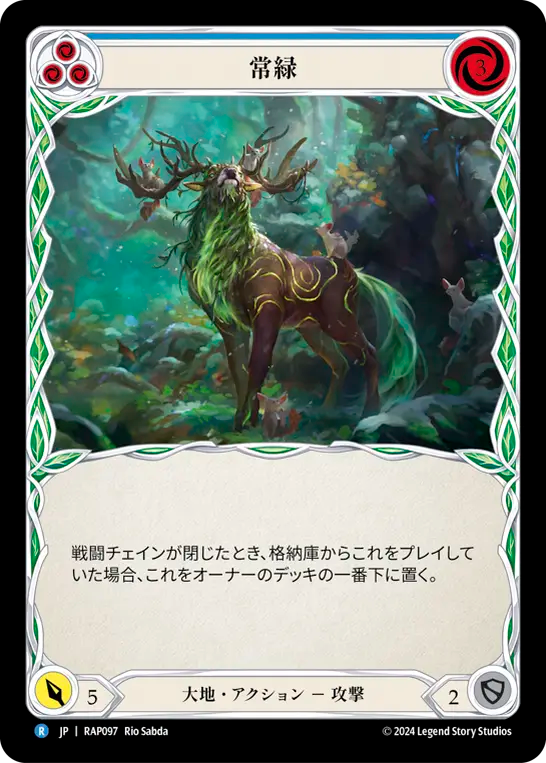 常緑/Evergreen - Blue