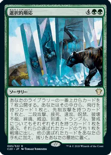 《選択的順応/Selective Adaptation》[C20] 緑R