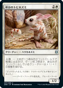 《峡谷のトビネズミ/Canyon Jerboa》[ZNR] 白U