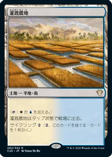 《灌漑農地/Irrigated Farmland》[C20] 土地R