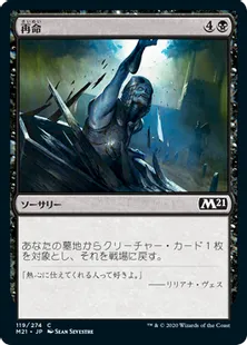 《再命/Rise Again》[M21] 黒C