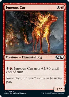 《炎血の野犬/Igneous Cur》[M21] 赤C