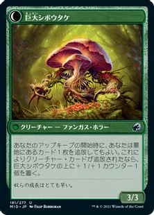 《シボウタケの若芽/Deathbonnet Sprout》/《巨大シボウタケ/Deathbonnet Hulk》[MID] 緑U