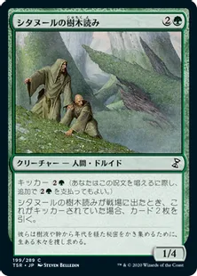 《シタヌールの樹木読み/Citanul Woodreaders》[TSR] 緑C