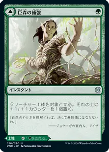《巨森の補強/Vastwood Fortification》/《巨森の茂み/Vastwood Thicket》[ZNR] 緑U