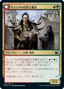 《ケッシグの自然主義者/Kessig Naturalist》/《ウルヴェンワルドの王/Lord of the Ulvenwald》[MID] 金U