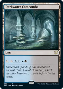 《ダークウォーターの地下墓地/Darkwater Catacombs》[AFC] 土地R