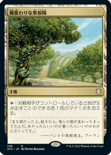 《風変わりな果樹園/Exotic Orchard》[AFC] 土地R