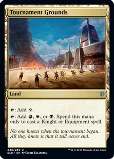 《試合場/Tournament Grounds》[ELD] 土地U