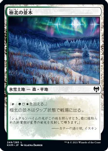 《極北の並木/Arctic Treeline》[KHM] 土地C