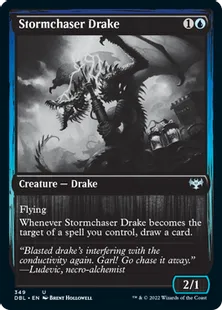《嵐追いのドレイク/Stormchaser Drake》[DBL] 青U
