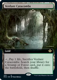 ■拡張アート■《新緑の地下墓地/Verdant Catacombs》[MH2-BF] 土地R