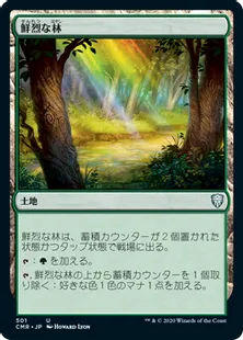 《鮮烈な林/Vivid Grove》[CMR] 土地U(501)