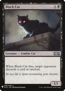 《黒猫/Black Cat》[MB1] 黒C