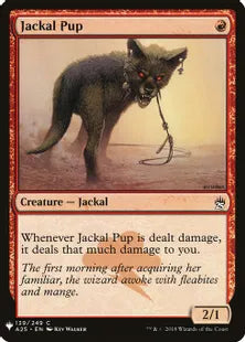 《ジャッカルの仔/Jackal Pup》[MB1] 赤C