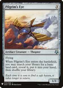 《巡礼者の目/Pilgrim's Eye》[MB1] 茶U