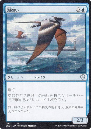(062)《潮掬い/Tide Skimmer》[SCD] 青U
