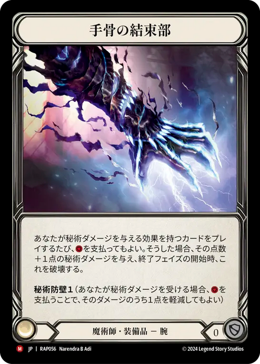 手骨の結束部/Metacarpus Node