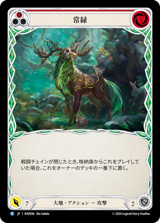 常緑/Evergreen - Red