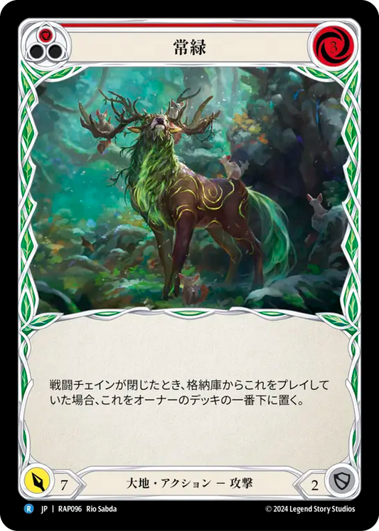 常緑/Evergreen - Red