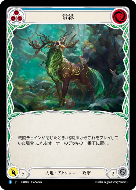 常緑/Evergreen - Blue