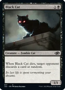 《黒猫/Black Cat》[J22] 黒C