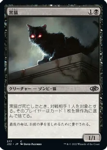 《黒猫/Black Cat》[J22] 黒C