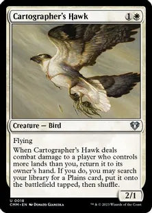 《地図作りの鷹/Cartographer's Hawk》[CMM] 白U