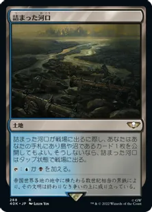 (268)《詰まった河口/Choked Estuary》[40K] 土地R