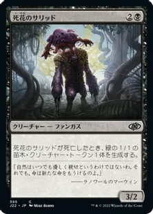 《死花のサリッド/Deathbloom Thallid》[J22] 黒C