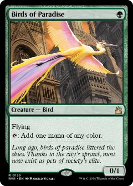《極楽鳥/Birds of Paradise》[RVR] 緑R