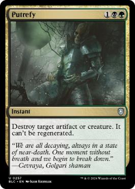 《化膿/Putrefy》[BLC] 金U