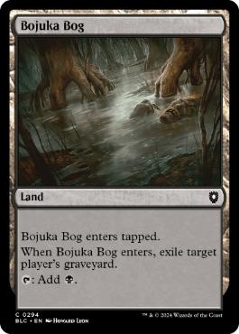 《ボジューカの沼/Bojuka Bog》[BLC] 土地C