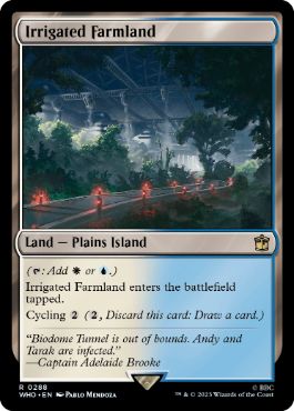 《灌漑農地/Irrigated Farmland》[WHO] 土地R