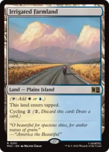 《灌漑農地/Irrigated Farmland》[MSC] 土地R
