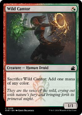 《野生の朗詠者/Wild Cantor》[RVR] 金C