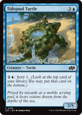 《潮溜まりの亀/Tidepool Turtle》[J25] 青C