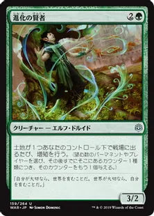 《進化の賢者/Evolution Sage》[WAR] 緑U