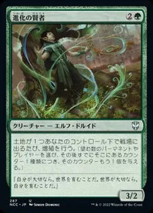 《進化の賢者/Evolution Sage》[NCC] 緑U