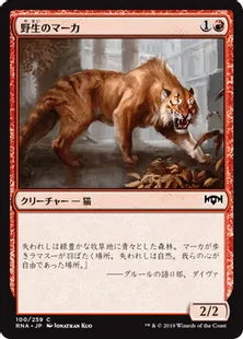 《野生のマーカ/Feral Maaka》[RNA] 赤C