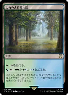 《溢れかえる果樹園/Flooded Grove》[LTC] 土地R