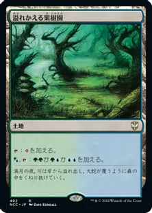 《溢れかえる果樹園/Flooded Grove》[NCC] 土地R