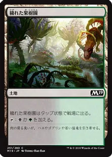 《穢れた果樹園/Foul Orchard》[M19] 土地C