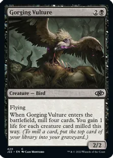 《貪る禿鷹/Gorging Vulture》[J22] 黒C