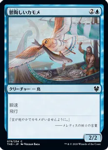 《鬱陶しいカモメ/Vexing Gull》[THB] 青C