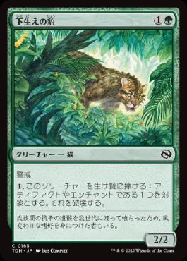 《下生えの豹/Undergrowth Leopard》[TDM] 緑C