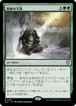 《巫師の天啓/Shamanic Revelation》[BLC] 緑R