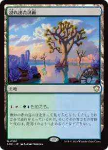 《溢れ出た区画/Overflowing Basin》[SOC] 土地R