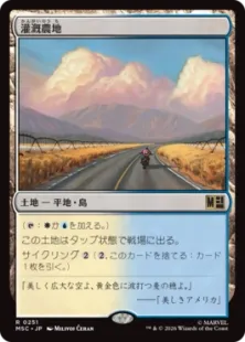 《灌漑農地/Irrigated Farmland》[MSC] 土地R