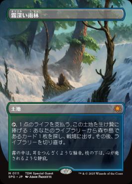 ■ボーダーレス■《霧深い雨林/Misty Rainforest》[SPG] 土地